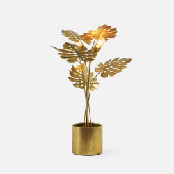 CAMBRIA Table lamp [Display]